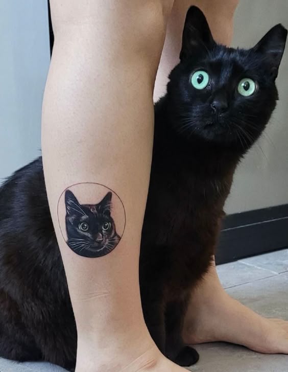 Highly detailed and realistic cat tattoo design